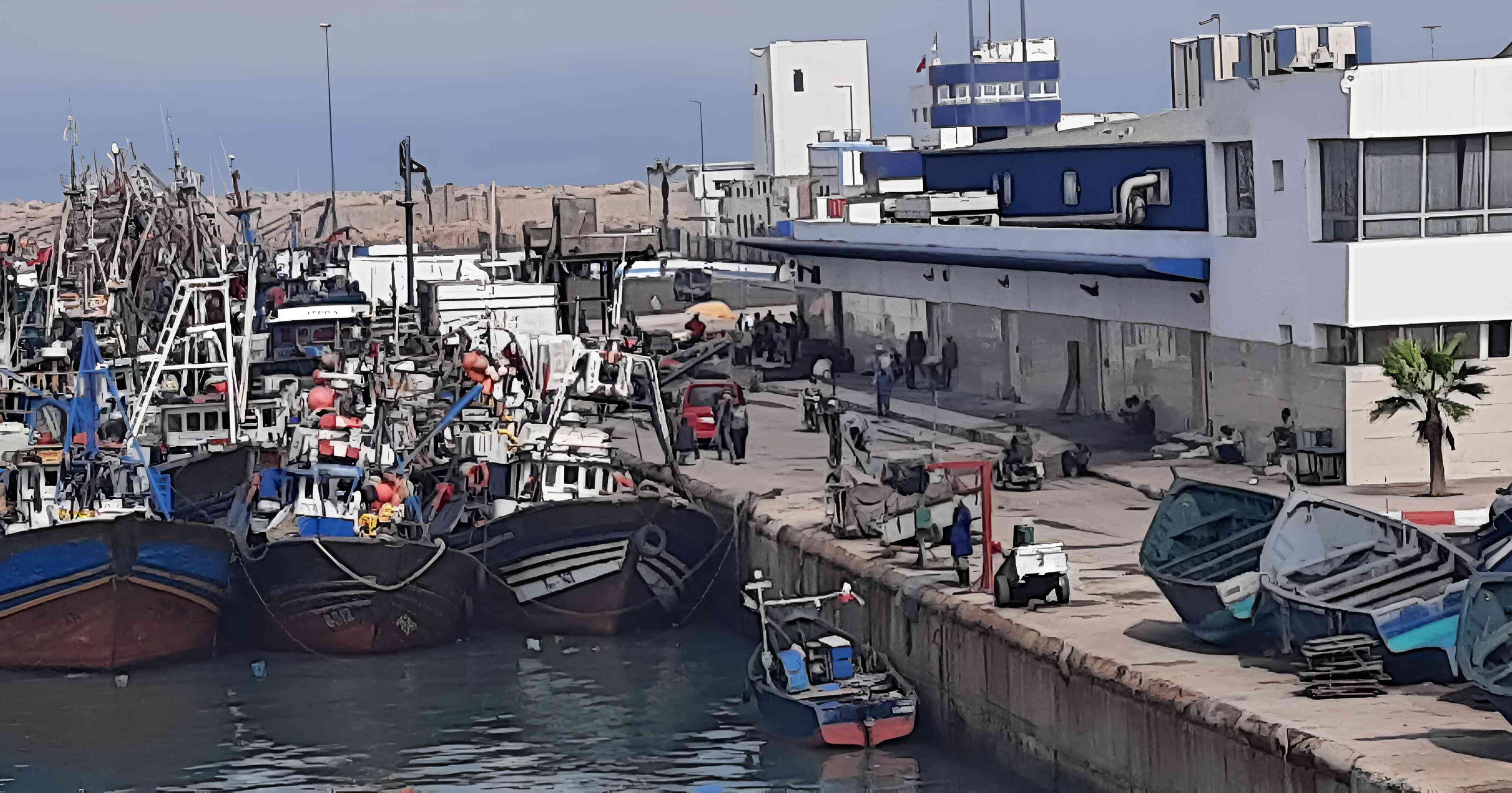 انخفاض في ميناء الطانطان لمفرغات الصيد الساحلي والتقليدي بـ 40 في المائة خلال الربع الأول من سنة 2024
