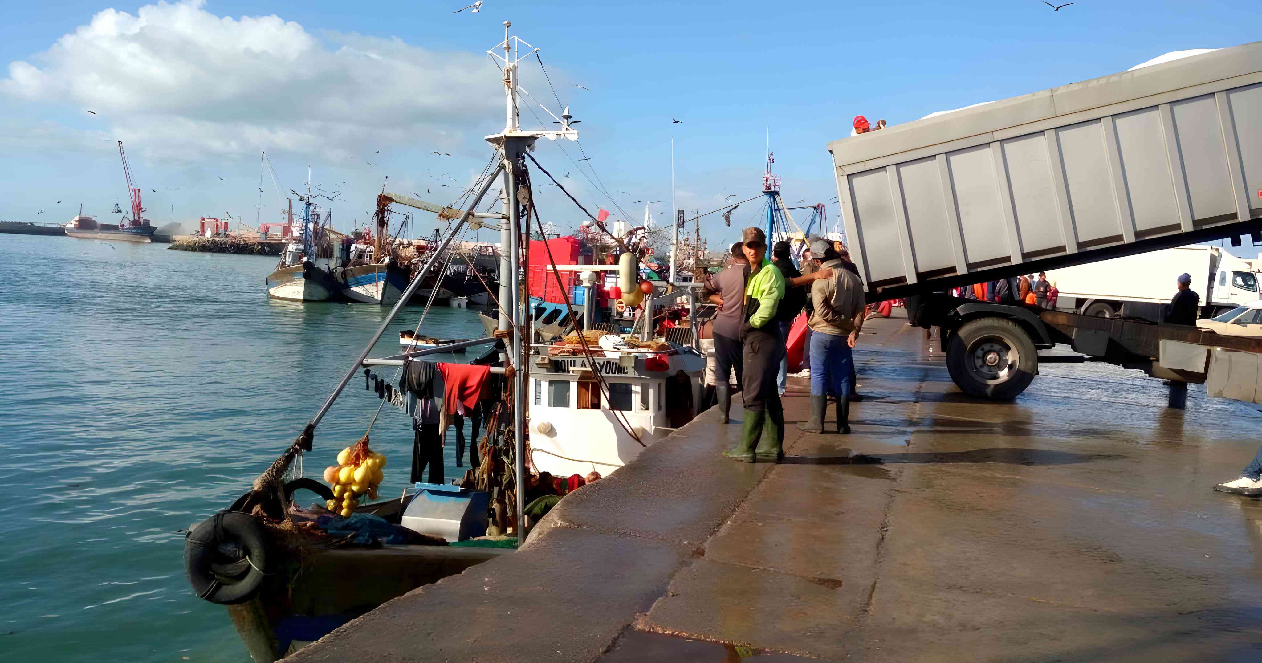 انخفاض مفرغات الصيد الساحلي والتقليدي بـ 40 في المئة في ميناء العيون