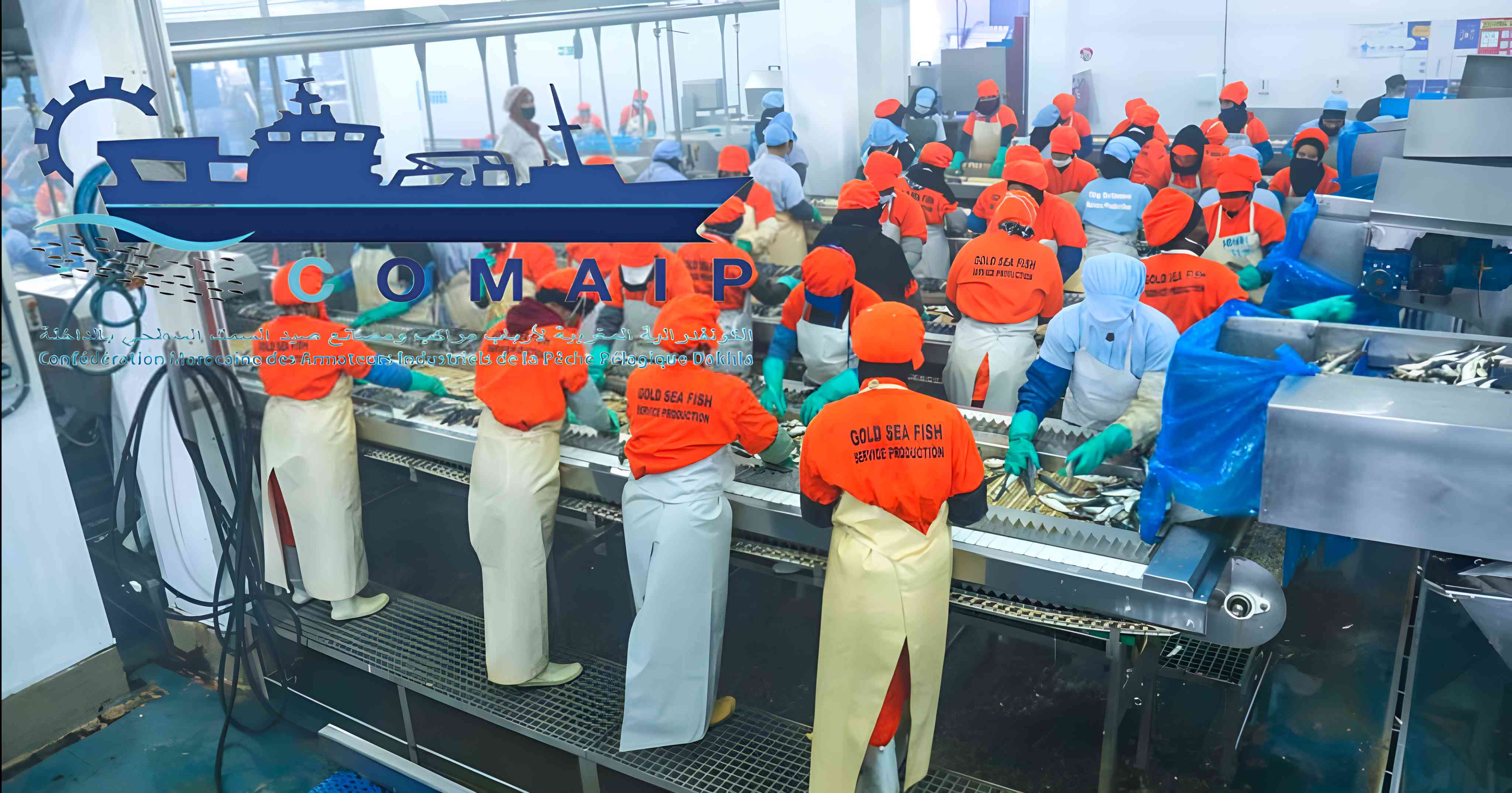 الفيدرالية المغربية لارباب مراكب ومصانع صيد السمك بالداخلة ترد على اجتماع وزارة الصيد