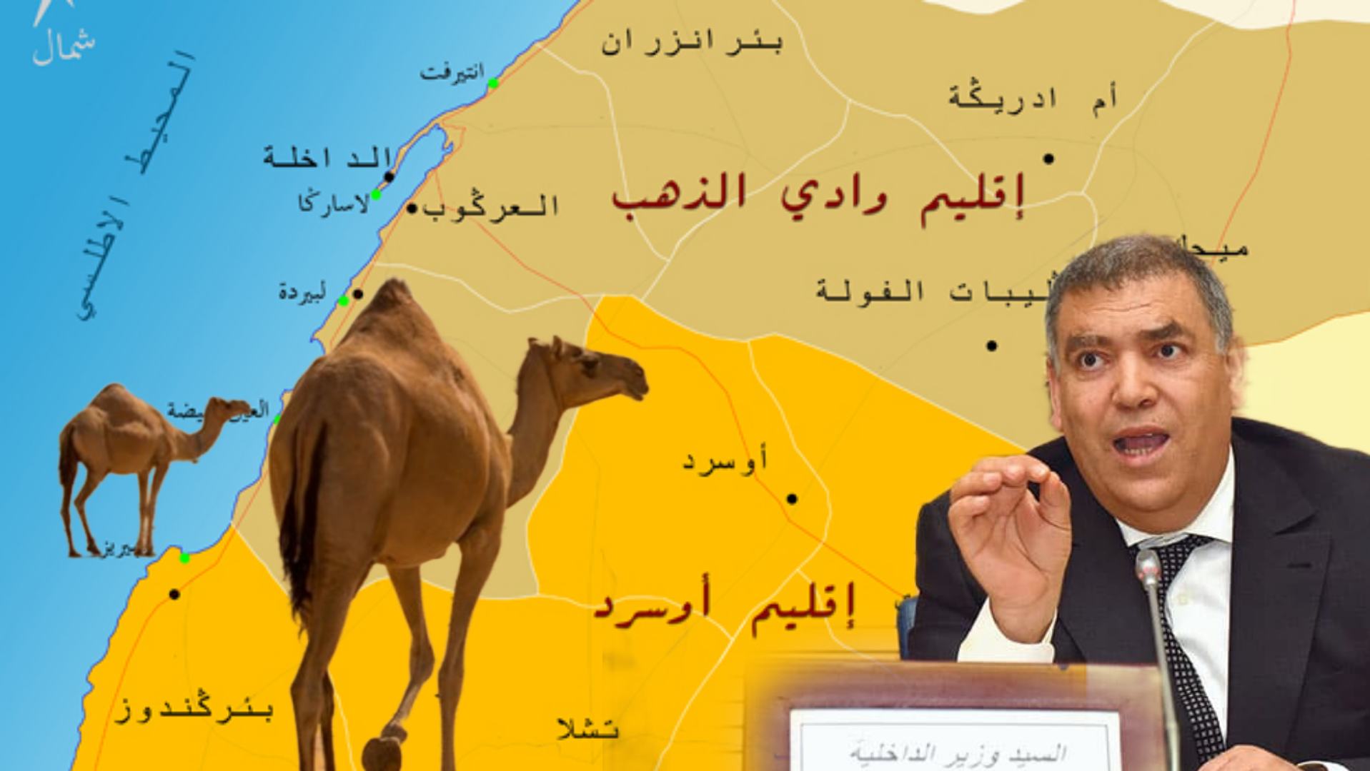  تحقيق خطير يكشف تمويل قطعان الإبل بالداخلة يملكها رؤساء جماعات بالمحروقات!! فإين وزارة الداخلية من الموضوع؟   