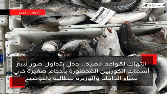 انتهاك لقواعد الصيد.. جدل بتداول صور لبيع أسماك الكوربين المُحظورة بأحجام صغيرة في ميناء الداخلة والوزيرة مطالبة بالتوضيح