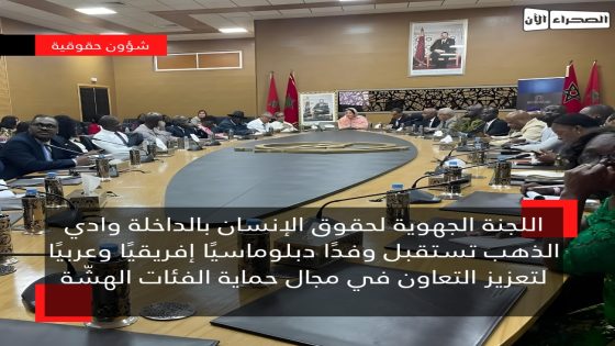 اللجنة الجهوية لحقوق الإنسان بالداخلة وادي الذهب تستقبل وفدًا دبلوماسيًا إفريقيًا وعربيًا لتعزيز التعاون في مجال حماية الفئات الهشّة