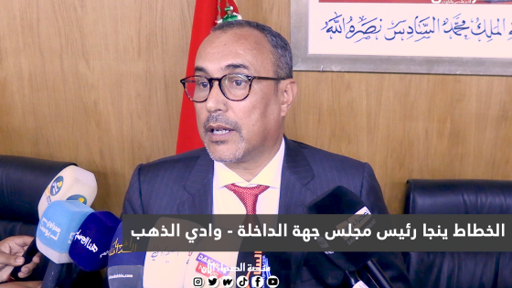 شاهد..تصريح رئيس جهة الداخلة حول مدى تقدم برنامج التمكين الاقتصادي للنساء