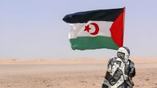 {"remix_data":[],"remix_entry_point":"challenges","source_tags":["local"],"origin":"unknown","total_draw_time":0,"total_draw_actions":0,"layers_used":0,"brushes_used":0,"photos_added":0,"total_editor_actions":{},"tools_used":{"ai_enhance":1,"transform":1},"is_sticker":false,"edited_since_last_sticker_save":true,"containsFTESticker":false}