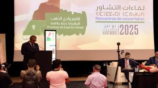 {"remix_data":[],"remix_entry_point":"challenges","source_tags":["local"],"origin":"unknown","total_draw_time":0,"total_draw_actions":0,"layers_used":0,"brushes_used":0,"photos_added":0,"total_editor_actions":{},"tools_used":{"ai_enhance":1,"transform":1},"is_sticker":false,"edited_since_last_sticker_save":true,"containsFTESticker":false}