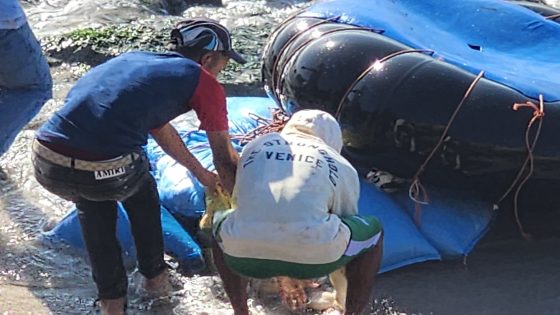 {"remix_data":[],"remix_entry_point":"challenges","source_tags":["local"],"origin":"unknown","total_draw_time":0,"total_draw_actions":0,"layers_used":0,"brushes_used":0,"photos_added":0,"total_editor_actions":{},"tools_used":{"transform":1},"is_sticker":false,"edited_since_last_sticker_save":true,"containsFTESticker":false}