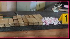 {"remix_data":[],"remix_entry_point":"challenges","source_tags":["local"],"origin":"unknown","total_draw_time":0,"total_draw_actions":0,"layers_used":0,"brushes_used":0,"photos_added":0,"total_editor_actions":{},"tools_used":{"transform":1},"is_sticker":false,"edited_since_last_sticker_save":true,"containsFTESticker":false}