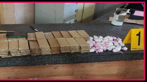 {"remix_data":[],"remix_entry_point":"challenges","source_tags":["local"],"origin":"unknown","total_draw_time":0,"total_draw_actions":0,"layers_used":0,"brushes_used":0,"photos_added":0,"total_editor_actions":{},"tools_used":{"transform":1},"is_sticker":false,"edited_since_last_sticker_save":true,"containsFTESticker":false}