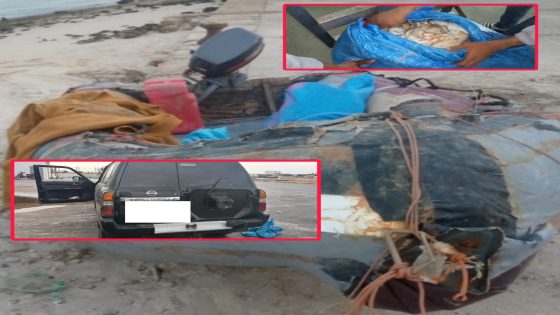 {"remix_data":[],"remix_entry_point":"challenges","source_tags":["local"],"origin":"unknown","total_draw_time":45974,"total_draw_actions":6,"layers_used":2,"brushes_used":1,"photos_added":0,"total_editor_actions":{},"tools_used":{"transform":1,"draw":1},"is_sticker":false,"edited_since_last_sticker_save":true,"containsFTESticker":false}