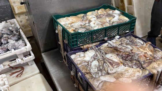 {"remix_data":[],"remix_entry_point":"challenges","source_tags":["local"],"origin":"unknown","total_draw_time":0,"total_draw_actions":0,"layers_used":0,"brushes_used":0,"photos_added":0,"total_editor_actions":{},"tools_used":{"transform":1},"is_sticker":false,"edited_since_last_sticker_save":true,"containsFTESticker":false}