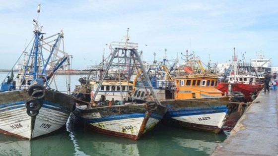 {"remix_data":[],"remix_entry_point":"challenges","source_tags":["local"],"origin":"unknown","total_draw_time":0,"total_draw_actions":0,"layers_used":0,"brushes_used":0,"photos_added":0,"total_editor_actions":{},"tools_used":{"transform":1},"is_sticker":false,"edited_since_last_sticker_save":true,"containsFTESticker":false}