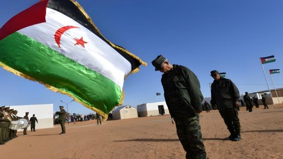 {"remix_data":[],"remix_entry_point":"challenges","source_tags":["local"],"origin":"unknown","total_draw_time":0,"total_draw_actions":0,"layers_used":0,"brushes_used":0,"photos_added":0,"total_editor_actions":{},"tools_used":{"ai_enhance":1,"transform":1},"is_sticker":false,"edited_since_last_sticker_save":true,"containsFTESticker":false}