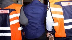 {"remix_data":[],"remix_entry_point":"challenges","source_tags":["local"],"origin":"unknown","total_draw_time":0,"total_draw_actions":0,"layers_used":0,"brushes_used":0,"photos_added":0,"total_editor_actions":{},"tools_used":{"transform":1},"is_sticker":false,"edited_since_last_sticker_save":true,"containsFTESticker":false}