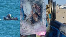 {"remix_data":[],"remix_entry_point":"challenges","source_tags":[],"origin":"unknown","total_draw_time":0,"total_draw_actions":0,"layers_used":0,"brushes_used":0,"photos_added":0,"total_editor_actions":{},"tools_used":{},"is_sticker":false,"edited_since_last_sticker_save":false,"containsFTESticker":false}