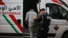 {"remix_data":[],"remix_entry_point":"challenges","source_tags":["local"],"origin":"unknown","total_draw_time":0,"total_draw_actions":0,"layers_used":0,"brushes_used":0,"photos_added":0,"total_editor_actions":{},"tools_used":{"transform":1},"is_sticker":false,"edited_since_last_sticker_save":true,"containsFTESticker":false}