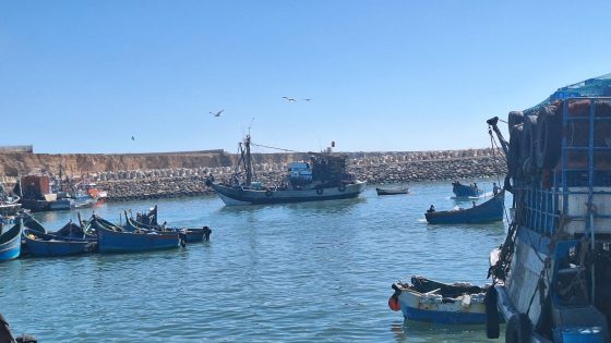 إغلاق وقائي لميناء بوجدور بسبب توقعات أحوال جوية سيئة