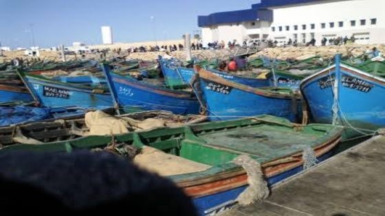 تمديد فترة الراحة البيولوجية لصيد كبار القشريات على طول الساحل الوطني