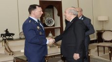 الرئيس تبون يستقبل نائب كاتب الدولة الأمريكي وقائد “أفريكوم” لبحث علاقات التعاون