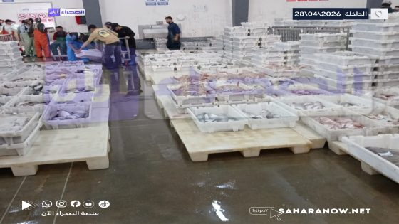 الداخلة.. تجار سوق السمك بالجملة بالميناء يشلون حركة البيع والشراء احتجاجا على حجز شاحنة محملة بالسمك بمركز طرفاية